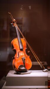 violin, musical instrument, museum, museum collection, violin, violin, violin, violin, violin